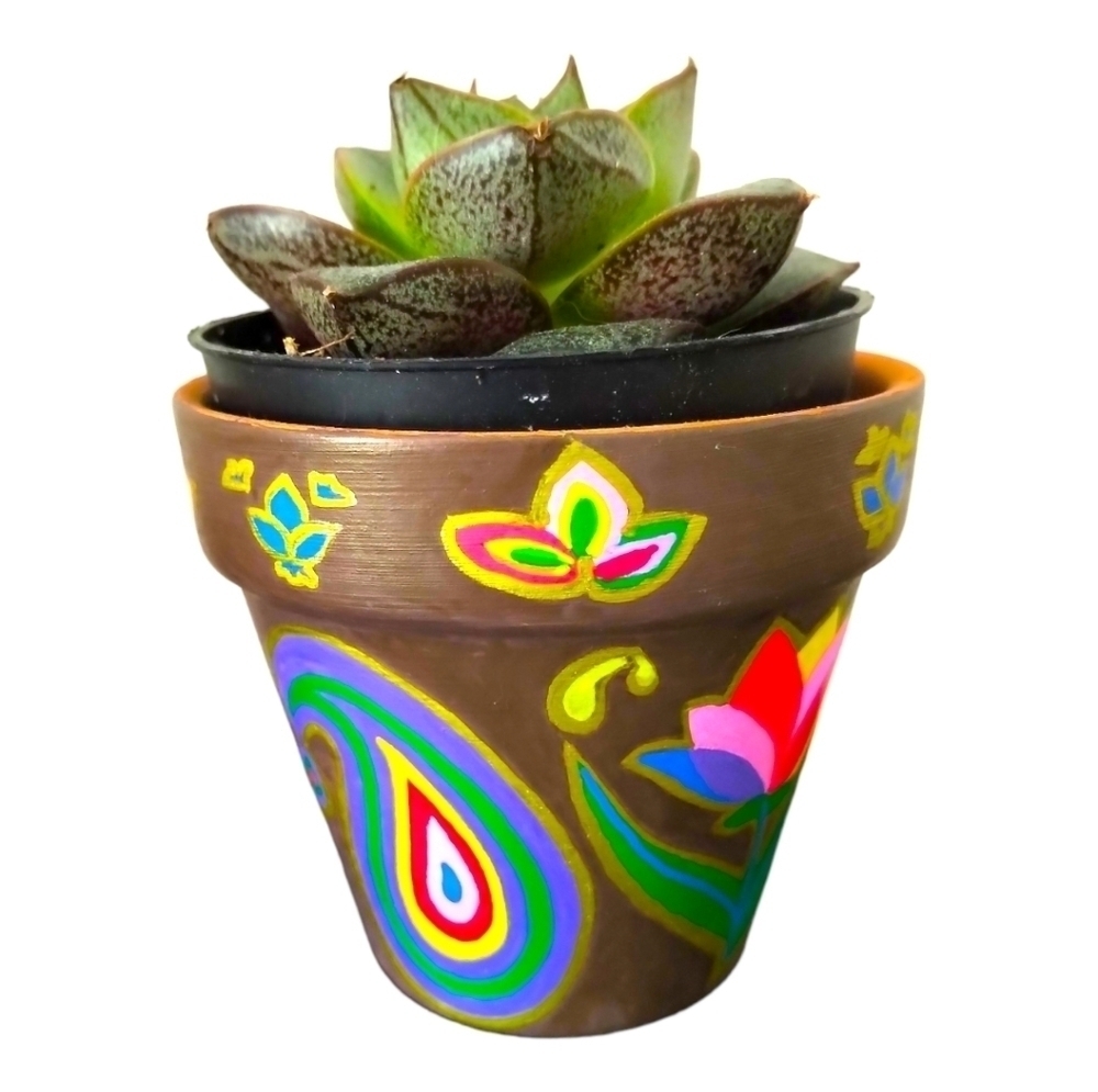 🎨Made to order🖌 Hand Painted Little Terracotta Pot/ Planter/ Vase